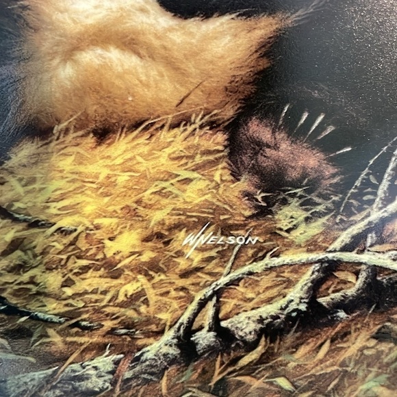 The Panda Will Nelson Vintage Last of Their Kind: The Endangered Species Plate - Picture 12 of 16